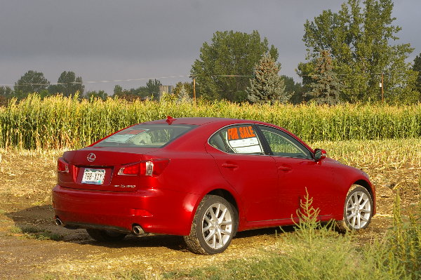 sunrise hits the cornfield